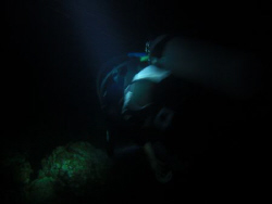 The night dive.. Moaboal cebu, Philippiines.. Casio exilim by Andrew Macleod 